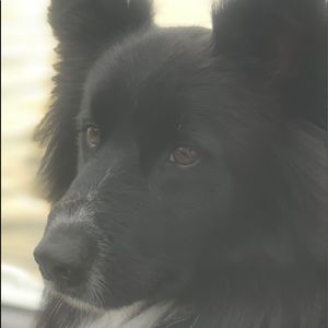 Meet your Posher, Isabelle